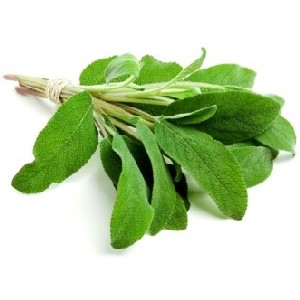 Sage Nutritional Value