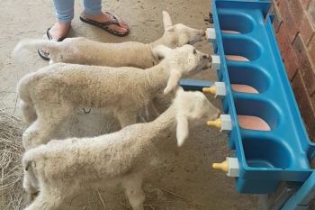 packorsa bokvoerder001