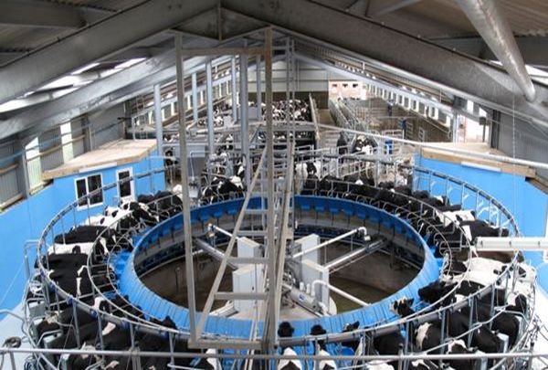 revolution front left